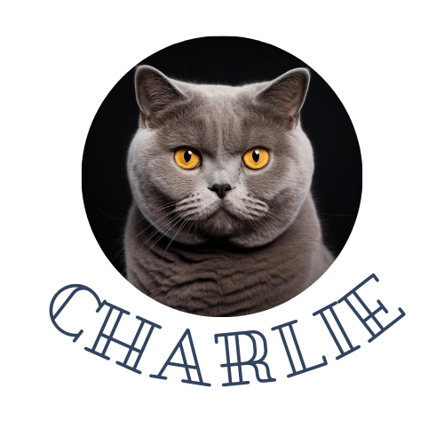Custom Pet Portraits Shirt | 100% Cotton | British Short Hair